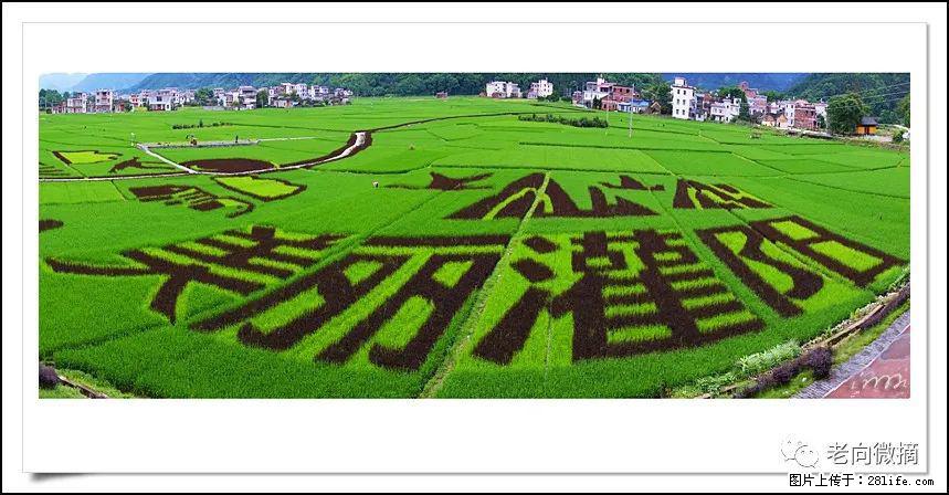 【春天，广西桂林灌阳县向您发出邀请！】开篇 - 游山玩水 - 廊坊生活社区 - 廊坊28生活网 lf.28life.com