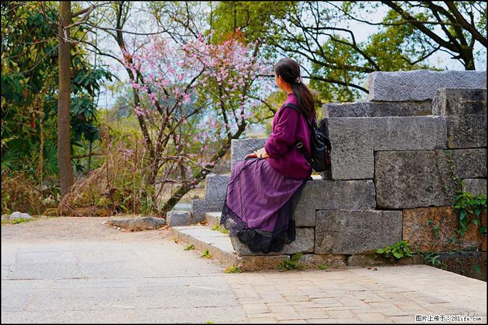 【春天，广西桂林灌阳县向您发出邀请！】江口老街又逢春 - 游山玩水 - 廊坊生活社区 - 廊坊28生活网 lf.28life.com