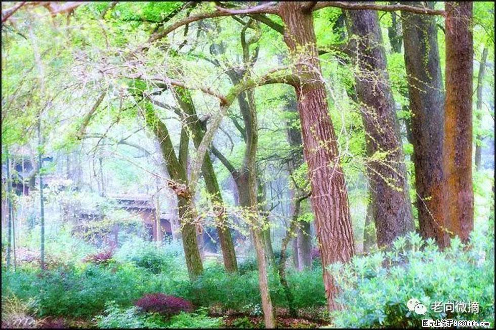 【春天，广西桂林灌阳县向您发出邀请！】在小龙村与春天约会 - 游山玩水 - 廊坊生活社区 - 廊坊28生活网 lf.28life.com