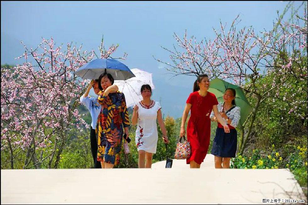 【春天，广西桂林灌阳县向您发出邀请！】望月岭上桃花开 - 游山玩水 - 廊坊生活社区 - 廊坊28生活网 lf.28life.com