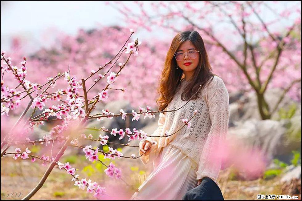 【春天，广西桂林灌阳县向您发出邀请！】望月岭上桃花开 - 游山玩水 - 廊坊生活社区 - 廊坊28生活网 lf.28life.com