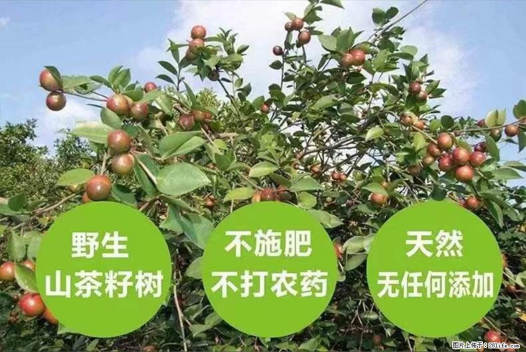 【灌阳县油茶产业示范区】一个有着充实的精神生活的人，对待身外之物自会有一种淡泊的态度 - 土特产 - 饮食特产 - 廊坊分类信息 - 廊坊28生活网 lf.28life.com