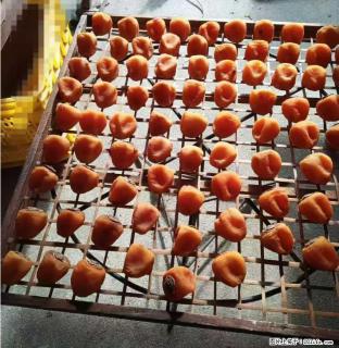 广西桂林平乐桥亭【柿饼之乡】2025年纯手工制作、无任何添加剂的第一批柿饼准备上市了，欢迎联系订购！ - 廊坊28生活网 lf.28life.com