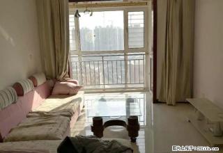 红星紫郡小区精装2室出租 - 廊坊28生活网 lf.28life.com