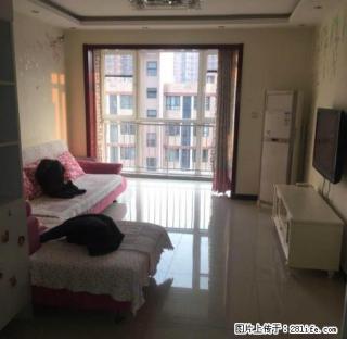 紫金华府豪装大两居 南北通透 初次出租 好楼层抢手！ - 廊坊28生活网 lf.28life.com