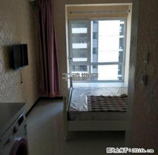 公园海精装公寓 首租 随时看房 - 廊坊28生活网 lf.28life.com