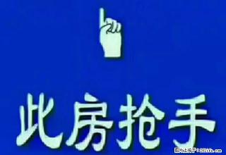 裕华路 九小 明珠 万向城 西务周转楼 - 廊坊28生活网 lf.28life.com