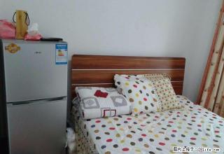 港中地产 丹凤公园附近 中装 拎包入住 看房便利 - 廊坊28生活网 lf.28life.com