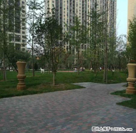 孔雀城精装三居 真实图片 诚心出租 随时看房拎包入住 - 房屋出租 - 房屋租售 - 廊坊分类信息 - 廊坊28生活网 lf.28life.com