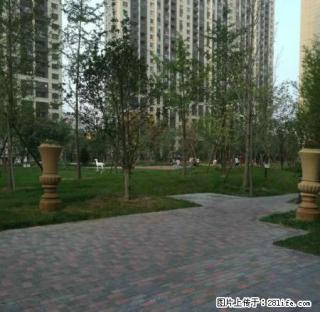 孔雀城精装三居 真实图片 诚心出租 随时看房拎包入住 - 廊坊28生活网 lf.28life.com