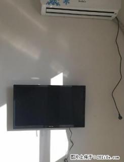 香河 华宇经典精装一居 年付一万 全新未入住！！！ - 廊坊28生活网 lf.28life.com