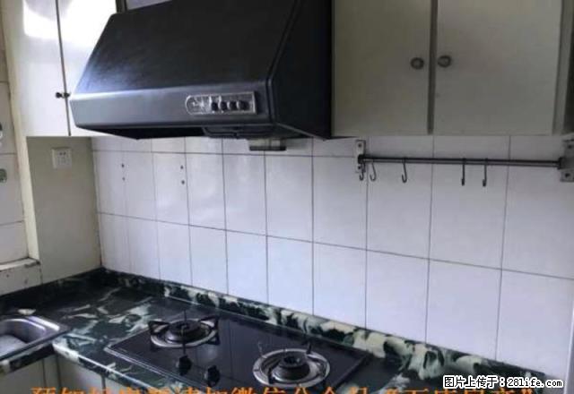 万庄石油万乐小区 拎包入住 1000 - 房屋出租 - 房屋租售 - 廊坊分类信息 - 廊坊28生活网 lf.28life.com