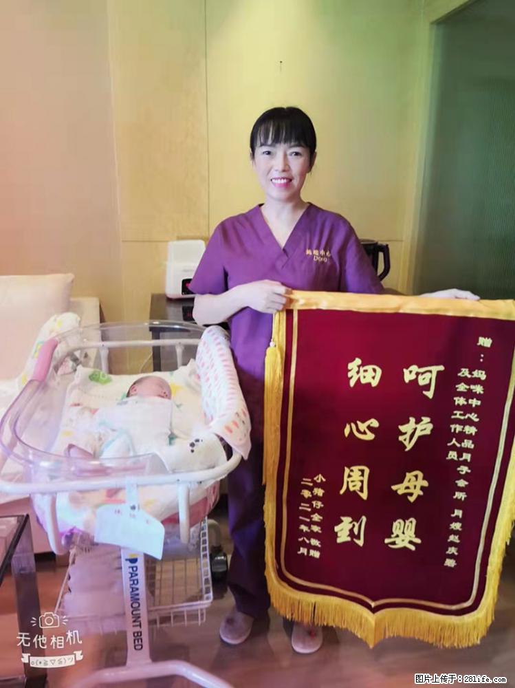 上海高端月子会所招新手月嫂，零基础带教，包吃住 - 职场交流 - 廊坊生活社区 - 廊坊28生活网 lf.28life.com