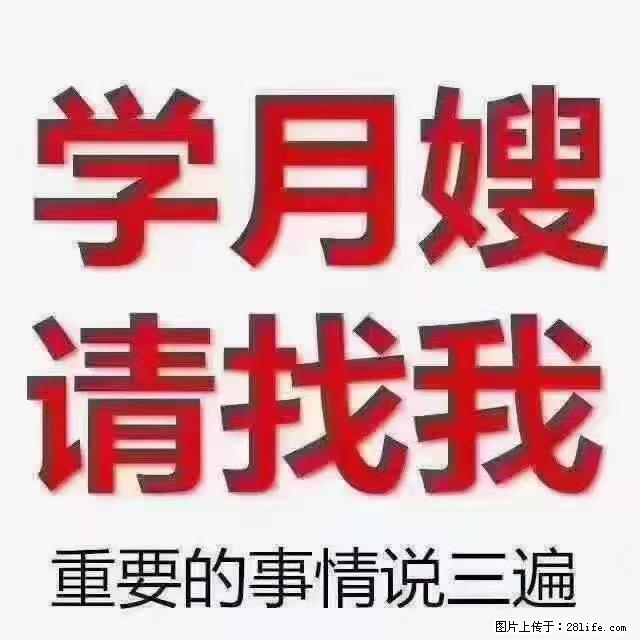 【招聘】月嫂，上海徐汇区 - 职场交流 - 廊坊生活社区 - 廊坊28生活网 lf.28life.com