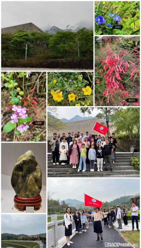 “粤灌文化 美好生活”油茶文化主题活动在广东深圳成功举办 - 廊坊生活资讯 - 廊坊28生活网 lf.28life.com