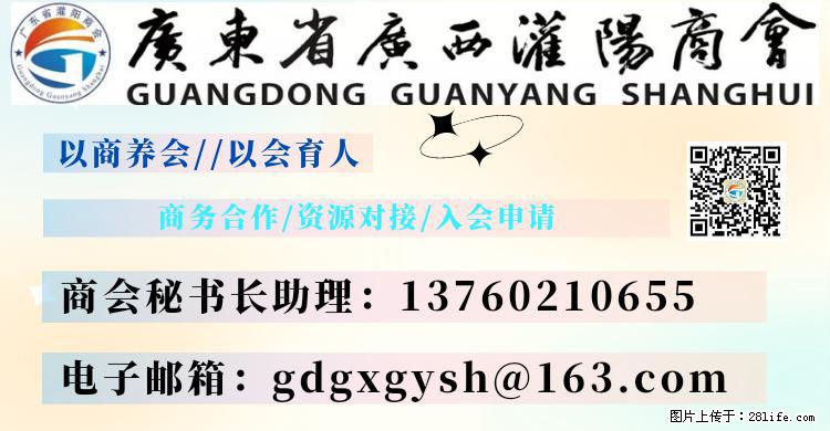 “粤灌文化 美好生活”油茶文化主题活动在广东深圳成功举办 - 廊坊生活资讯 - 廊坊28生活网 lf.28life.com