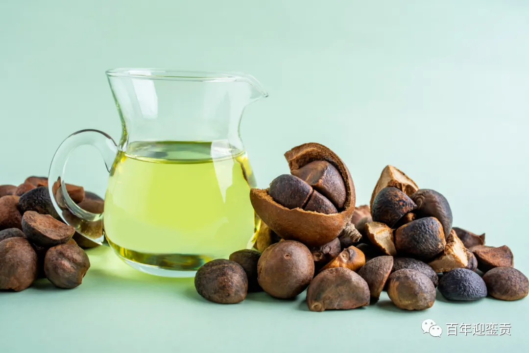 世界没有真相，只有认知，最好的食用油是中国的山茶油！ - 廊坊生活资讯 - 廊坊28生活网 lf.28life.com