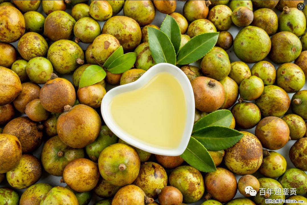 世界没有真相，只有认知，最好的食用油是中国的山茶油！ - 廊坊生活资讯 - 廊坊28生活网 lf.28life.com