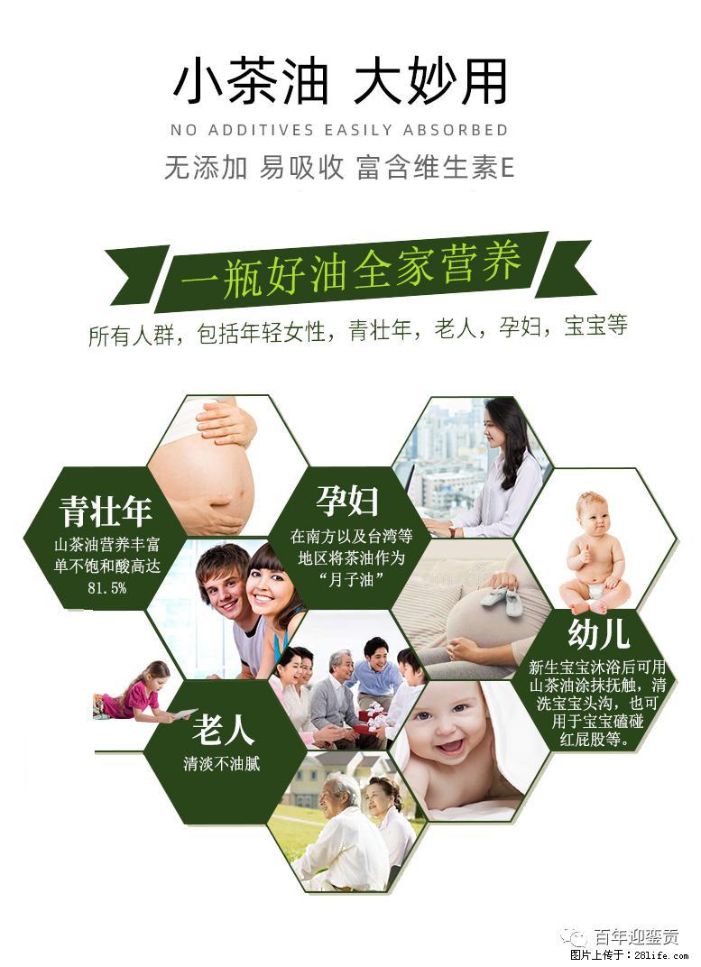 世界没有真相，只有认知，最好的食用油是中国的山茶油！ - 廊坊生活资讯 - 廊坊28生活网 lf.28life.com