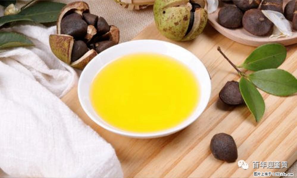 世界没有真相，只有认知，最好的食用油是中国的山茶油！ - 廊坊生活资讯 - 廊坊28生活网 lf.28life.com