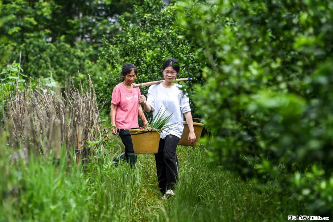全网追的“扁担女孩”，找了一份暑假工，时薪12元 - 廊坊生活资讯 - 廊坊28生活网 lf.28life.com