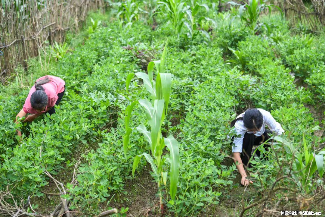 全网追的“扁担女孩”，找了一份暑假工，时薪12元 - 廊坊生活资讯 - 廊坊28生活网 lf.28life.com