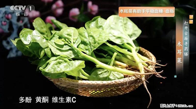 比牛奶补钙还厉害！凉血解毒、稳血糖...这菜冬天必吃，很多人却当草 - 廊坊生活资讯 - 廊坊28生活网 lf.28life.com