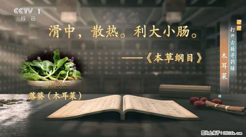 比牛奶补钙还厉害！凉血解毒、稳血糖...这菜冬天必吃，很多人却当草 - 廊坊生活资讯 - 廊坊28生活网 lf.28life.com