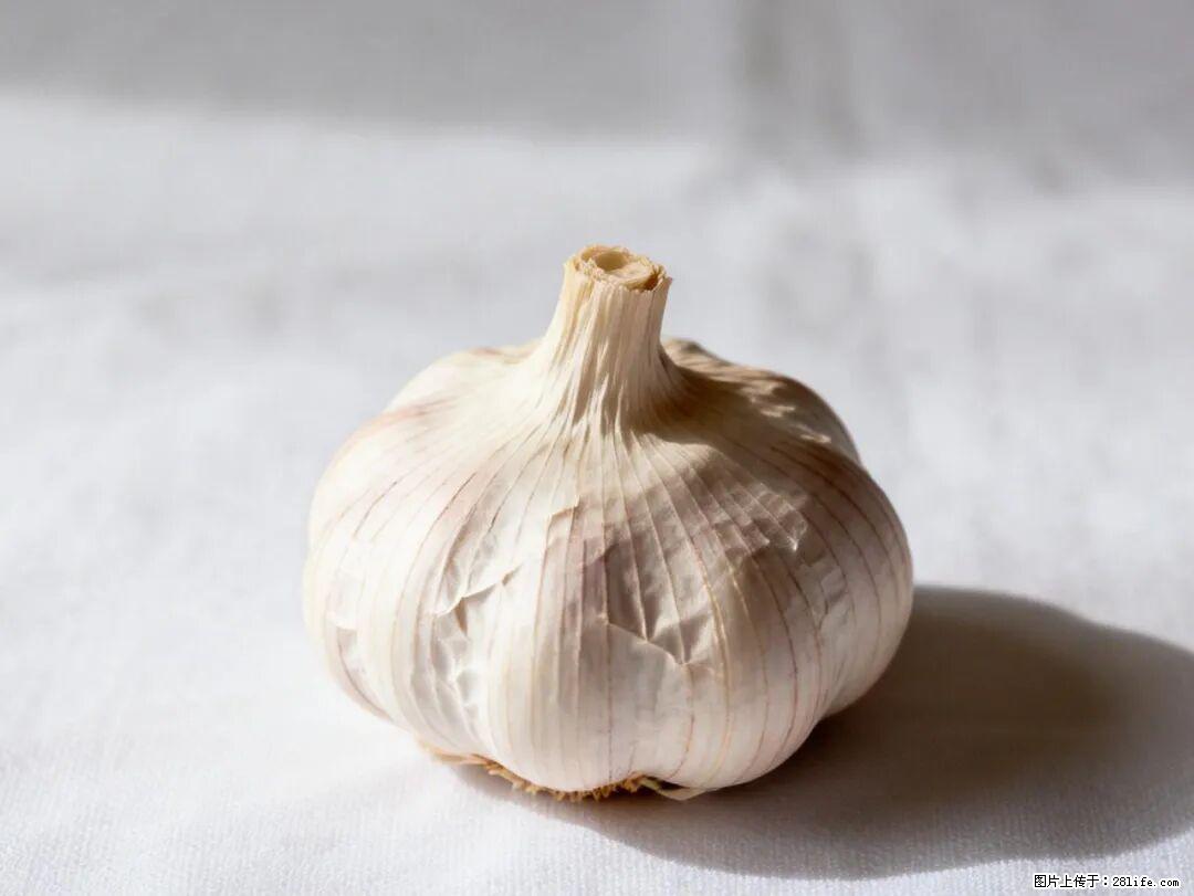 关于大蒜，除了“天然抗生素”，这4个谣言更该警惕! - 廊坊生活资讯 - 廊坊28生活网 lf.28life.com