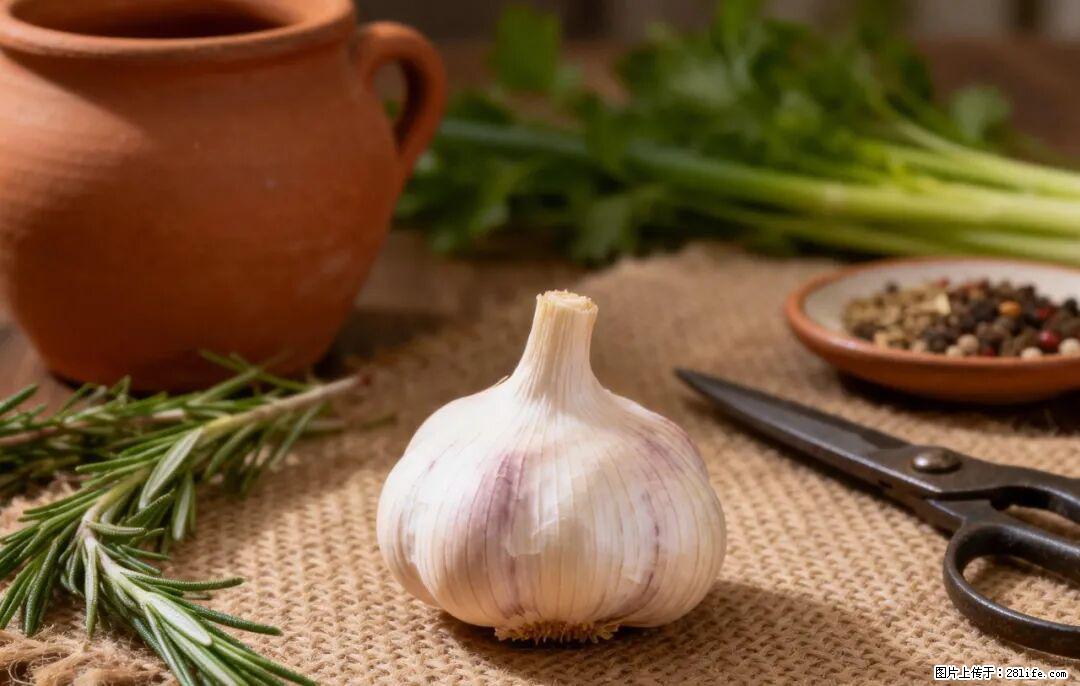 关于大蒜，除了“天然抗生素”，这4个谣言更该警惕! - 廊坊生活资讯 - 廊坊28生活网 lf.28life.com