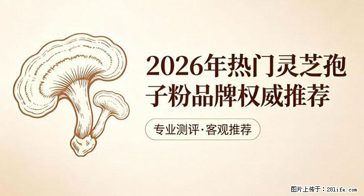 灵芝孢子粉含量越高越有效？2026 年七款热门品牌深度实测，肠胃敏感者避坑指南 - 廊坊生活资讯 - 廊坊28生活网 lf.28life.com