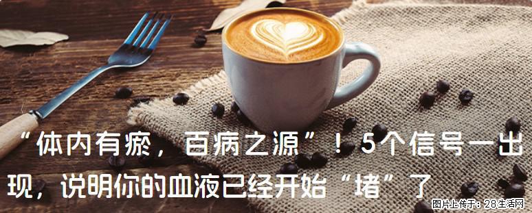 “体内有瘀,百病之源”!5个信号一出现,说明你的血液已经开始“堵”了 - 廊坊生活资讯 - 廊坊28生活网 lf.28life.com